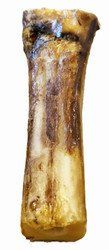 7 Inch Center Cut Meaty Natural Bone bulk