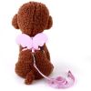 Angel Wing Pet Harness Leash Set Soft Safe Adjustable Outdoor Walking Leads Rope