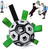 Dog Football Interactive Toy Ball, Durable with Grab Ring, Christmas Dog Water