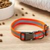 Large Orange Vibrant Life Metal & Nylon Fashion Dog Collar