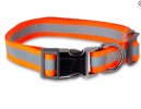 Large Orange Vibrant Life Metal & Nylon Fashion Dog Collar