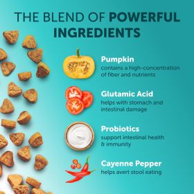 No Poo Chews for Dogs Probiotics and Digestive Enzymes Bad Breath Aid