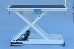 super Deluxe electric pet grooming table:110V/220V professional groomer height adjust
