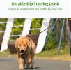 Leash Durable Slip Training Lead Heavy Duty 6 FT Comfortable Strong Reflective Rope Slip Leash
