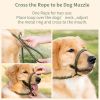 Leash Durable Slip Training Lead Heavy Duty 6 FT Comfortable Strong Reflective Rope Slip Leash