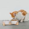 Double 28.7Oz Ceramic Pet Bowls Dog Cat Bowls with Wooden Stand Raised Pet Feeder