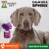 Calming Diffuser Kit Pet Separation Anxiety Relief Calm Treatment