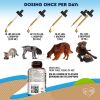 Worm Treatment with Probiotic Liquid Herbal Medicine