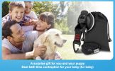Dog Grooming Table Lanyard Cats and Dogs Bathing Fixer Pet Haircut Trim Blow Dry Traction Rope