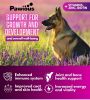 Dog Multivitamin Chewable with Glucosamine 16 in 1 Dog Vitamins and Supplements Senior and Puppy