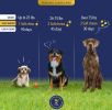 Dog Allergy Chews Itch Relief for Dogs 90 Chews 12 oz