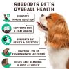 Natural Dog Allergy Chews with Omega Probiotics Apple Cider Vinegar