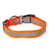 Large Orange Vibrant Life Metal & Nylon Fashion Dog Collar