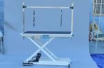 super Deluxe electric pet grooming table:110V/220V professional groomer height adjust