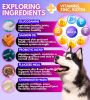 Dog Multivitamin Chewable with Glucosamine 16 in 1 Dog Vitamins and Supplements Senior and Puppy