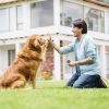 Ultrasonic Anti Barking Device Rechargeable Handheld Barking Deterrent with 4 Modes LED Flashlight