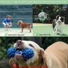 Dog Football Interactive Toy Ball, Durable with Grab Ring, Christmas Dog Water