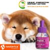 Calming Diffuser Kit Pet Separation Anxiety Relief Calm Treatment