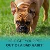 No Poo Chews for Dogs Probiotics and Digestive Enzymes Bad Breath Aid