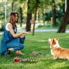 5Pcs Christmas Dog Rope Chew Toys Aggressive Teething Playing