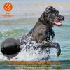 990FT Radius Dog Training Collar Wireless Fence Waterproof Vibration Electric Shock