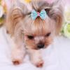 4pcs Pet Hairpins; Dog Hair Bows with Clips; Adorable Hair Clip