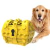 Dog Toothbrush Chew Toys, Upgraded Treasure Chest Sounding Toy, Dental Care Tooth Cleaning