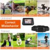 990FT Radius Dog Training Collar Wireless Fence Waterproof Vibration Electric Shock