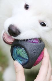 Rubber Bouncing Toy Dog Chew Toy Light up Ball Squeaky Toy (Design: round)