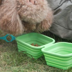 Silicone Collapsible Pet Bowl Double Portable Travel Bowl (Color: Green)