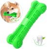Chew Toy Stick Dog Toothbrush with Toothpaste Dental Chews Care