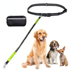 Hands Free Dog Leash with Zipper Pouch; Dual Padded Handles and Durable Bungee for Walking (Specification (L * W): 2.5*122CM, colour: Aqua suit)