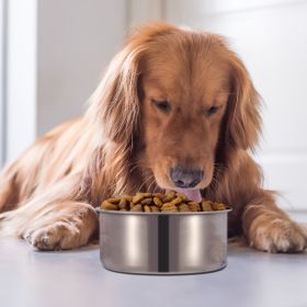 Stainless Steel Dog Bowl, Detachable Pet Cage Food Water Bowl with Clamp Holder (size: L)