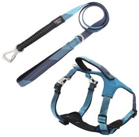 Reflective Dog Leash and Harness 2-in-1 Shock Absorbing Neoprene Padded (Color: Blue, size: large)