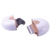 2-in-1 Travel Connecting Grooming Pet Comb and Deshedder