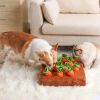 12 Plush Carrot Farm Hide and Seek Dog Toys