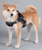 Dog Harness 'Scorpion' Sporty High-Performance Free-Range