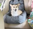 Dual Converting Travel Safety Car seat and Pet Bed