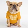 Pet clothing round collar T-shirt Teddy than panda dog clothing