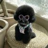New Style Crown Round Sunglasses for Dogs Cats