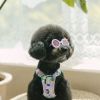 New Style Crown Round Sunglasses for Dogs Cats