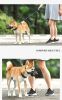 Dog Muzzle Prevents Chewing and Biting; Allows Panting and Drinking-Comfortable