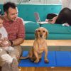 Dog Cooling Mat Pressure Activated Gel Self Cooling Mat Pad