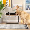Raised Dog Feeding Station Elevated Pet Feeder