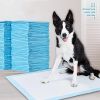 Pet Training 1 Bag Pads Super Absorbent Leak-proof Pee Pads