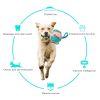 Dog Soccer Ball, Foldable Ball Molar Toy Outdoor Training
