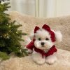 Christmas Pet Dress for Small Medium Dog; New Year Non-Elastic